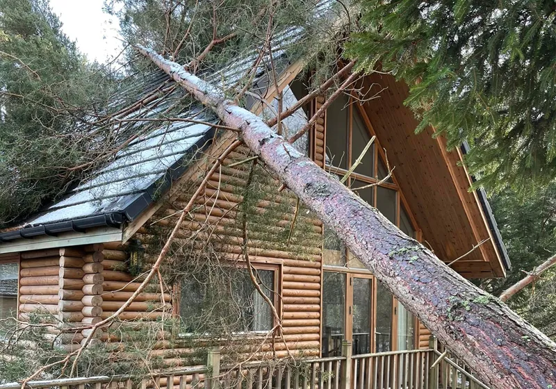 Highland Tree Services Highland Tree Services