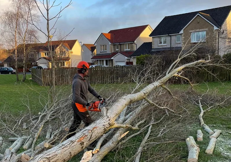 Inverness Tree Services Highland Inverness Tree Services Highland